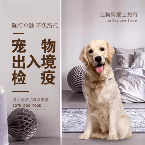 嘉义县宠物托运到哥伦比亚猫狗宠物入境规定和