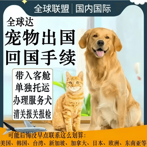嘉义县宠物托运到柬埔寨宠物入境规定和要求