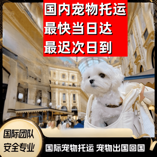 嘉义县到澳大利亚（澳洲）宠物入境规定和要求