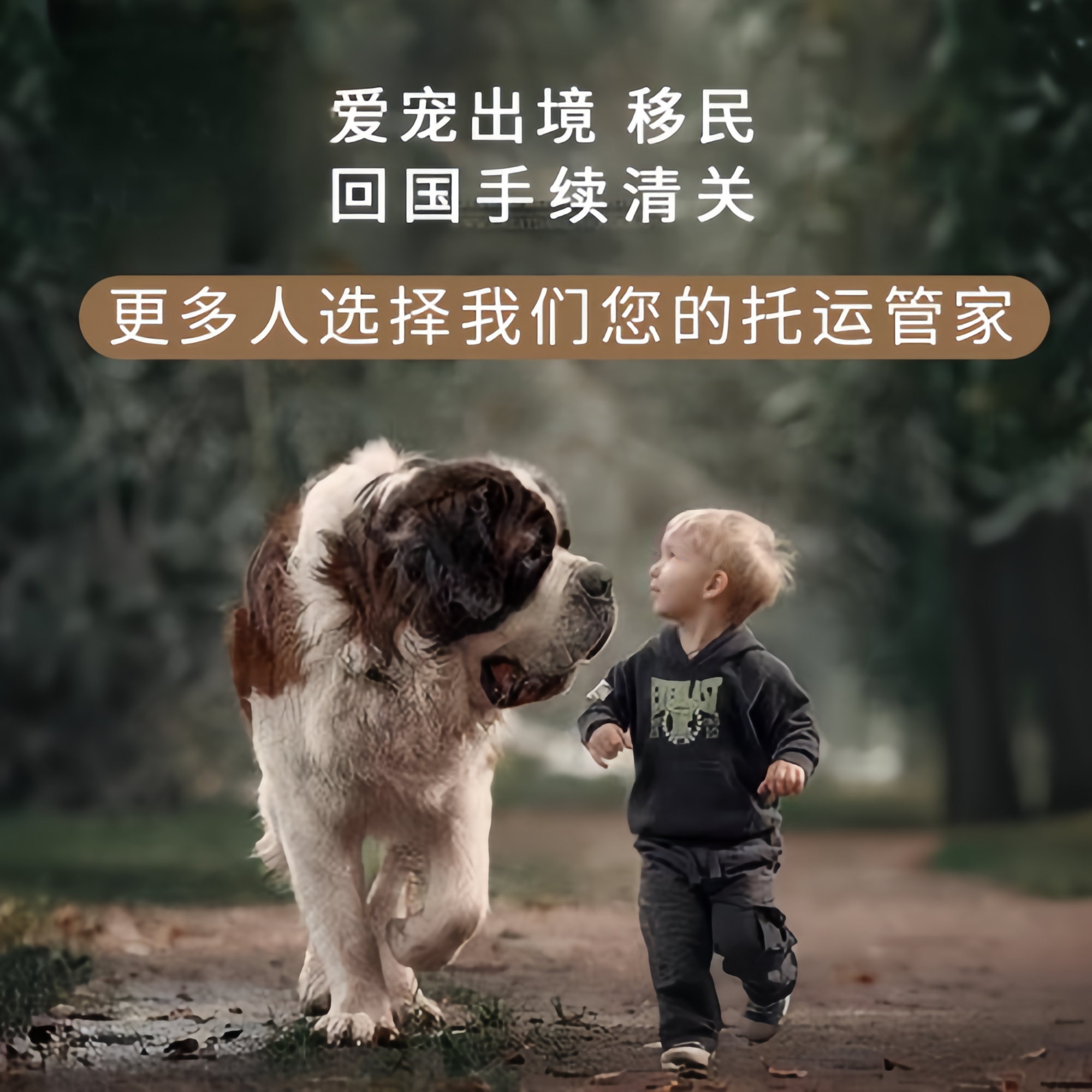 满财嘉义县宠物全球达宠物托运在遵守入境目的地政策的条件