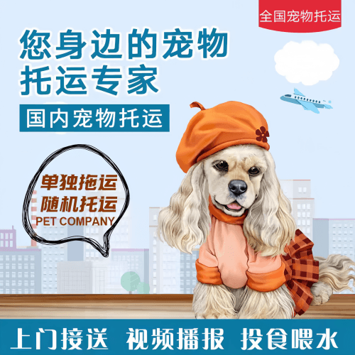 满财嘉义县宠物全球达宠物托运作为专业的宠物运输代理机构
